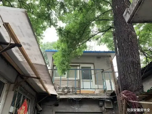 二手房|竞拍141次！东城这处被占用的平房依然拍出15万多一平