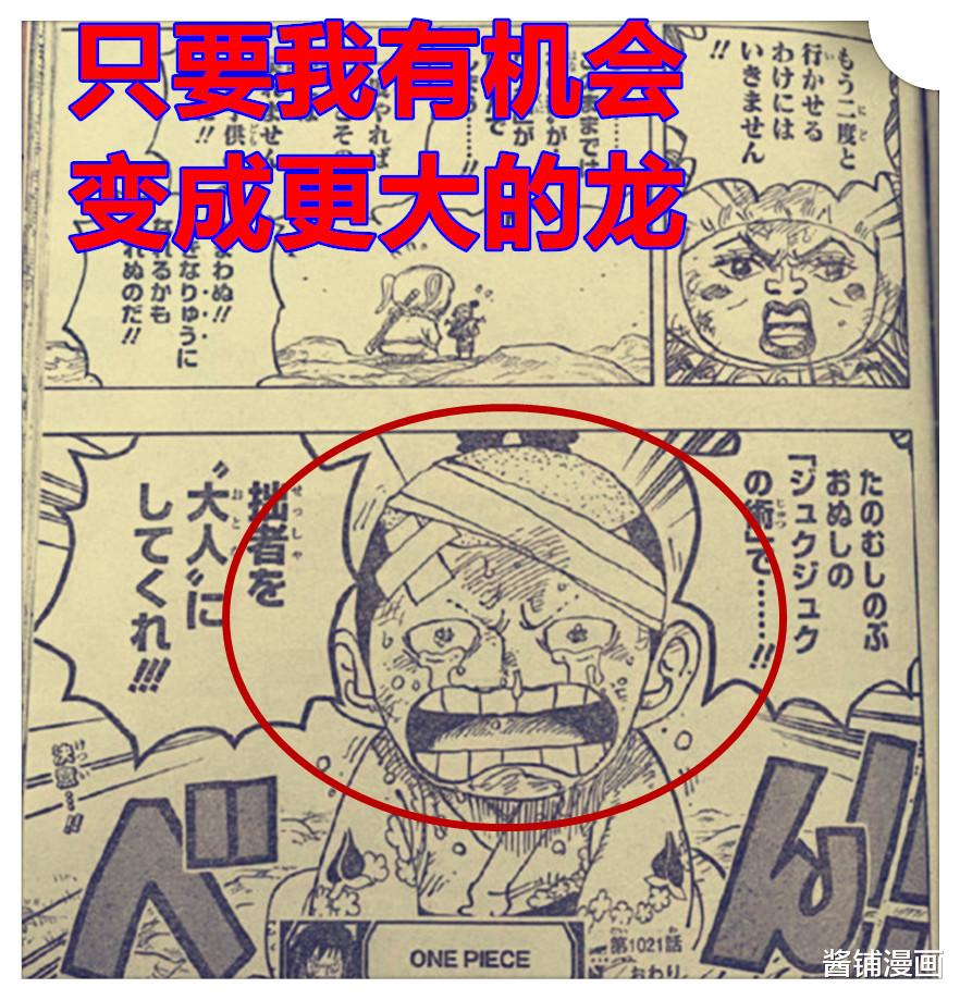 布鲁克|海贼王1021话，布鲁克秒杀女蛮霸者，卡里布献给路飞一个月的食物