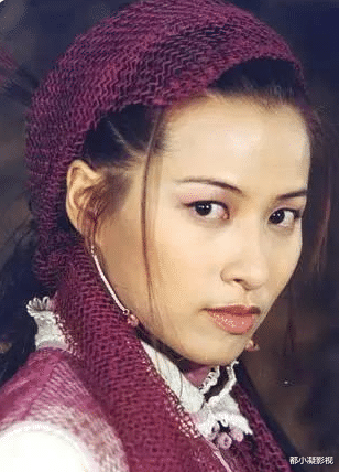 王志文|《鹿鼎记》中，曾经貌美如花的“7个老婆”，如今现状怎样了？