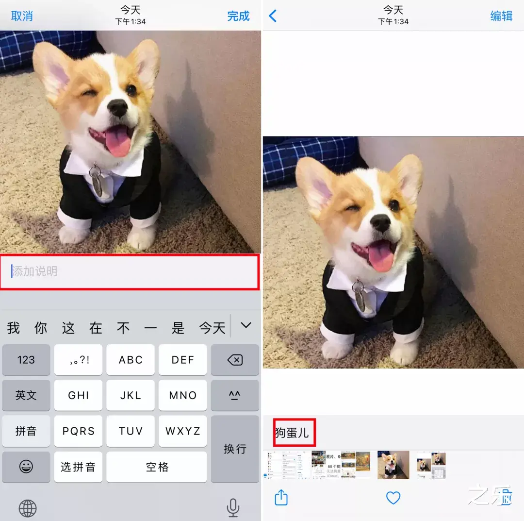 iPhone|iPhone相册隐藏的小功能，来看看
