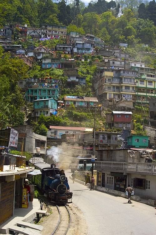 青苔|钓浑水鱼的三个技巧，如何在浑水中钓鱼（精髓）
