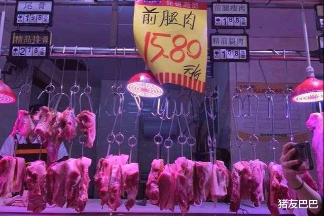 福布斯 多面夹击下，5月15日猪价大变，东北跌成“重灾区”，猪价难了！