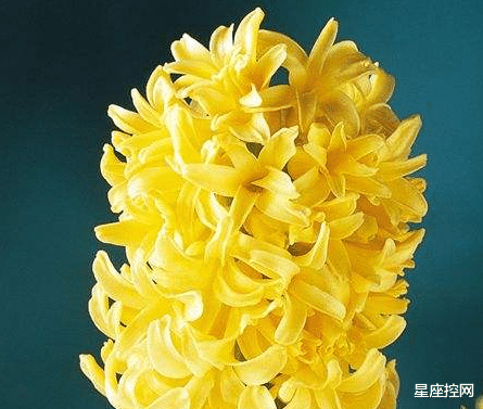 |哪些日子出生之人,遇到人生困境,磨练出惊人毅力,勇往直前