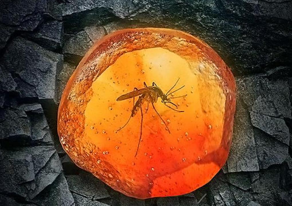 情微说|蚊子的存在有何意义？若将其全部灭绝，会有什么严重后果？