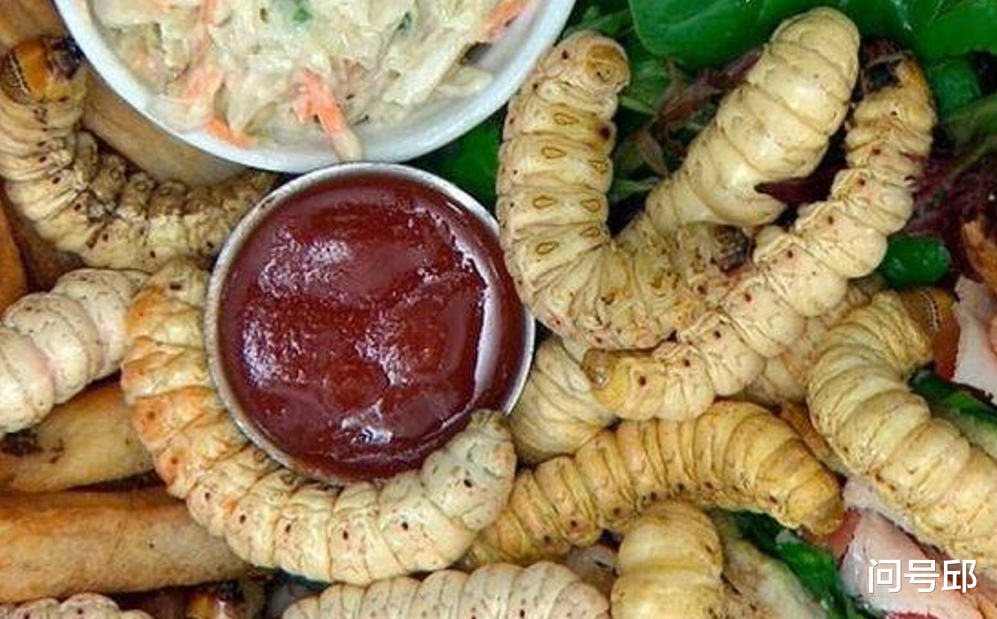 昆虫 人类对昆虫另类癖好:既把它当成害虫,又把它当成美食