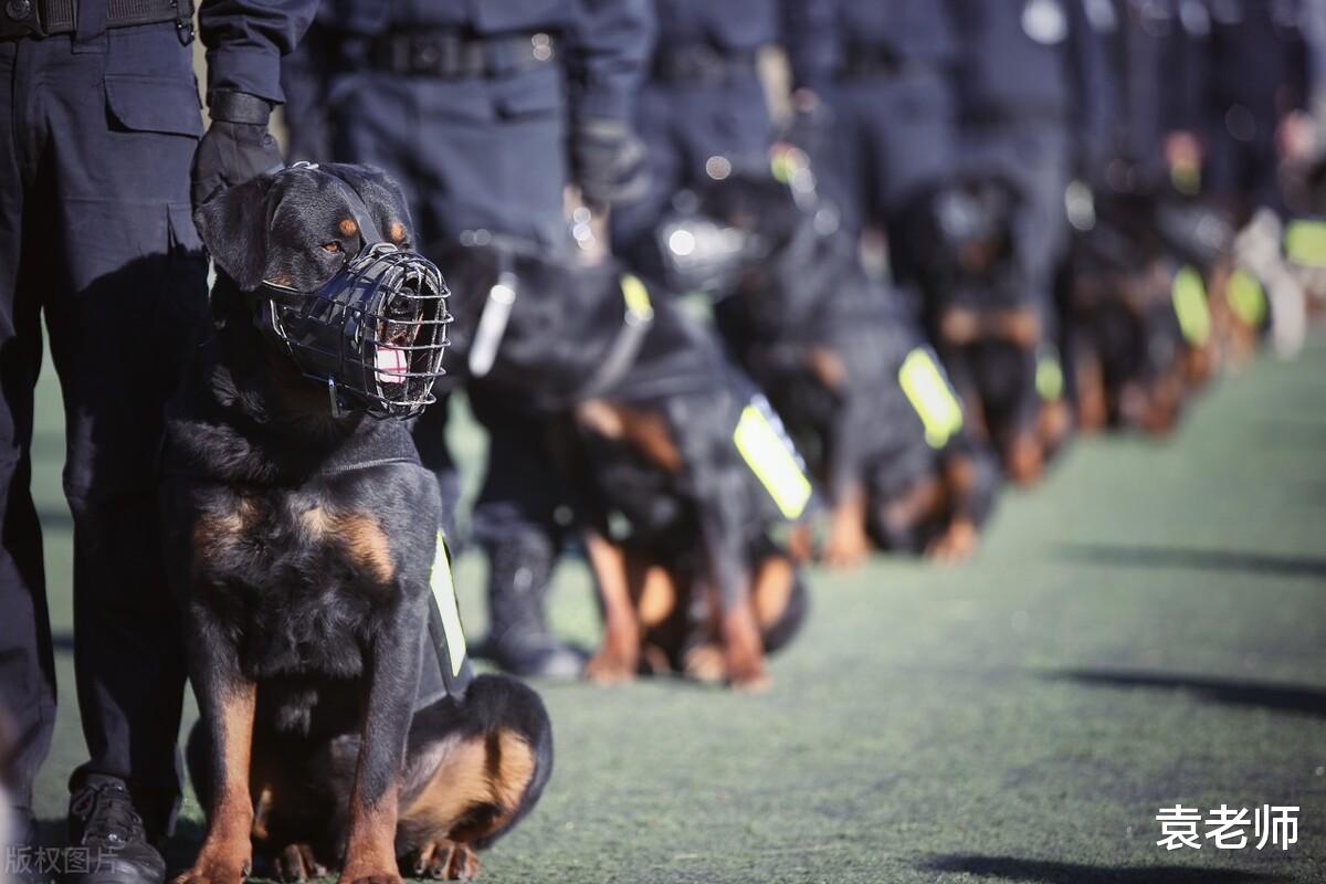 政审|考生想报考警校，应该注意什么问题？这3个方面要注意都是细节