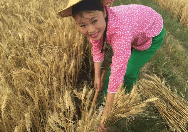 草帽姐|草帽姐为何被万人唾弃？看看她老公干了啥，难怪至今翻不了身