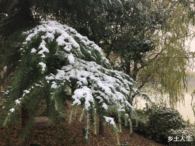 医生|九月十八霜降，老人说：“霜降用一宝，半年无病扰”，一宝指啥？