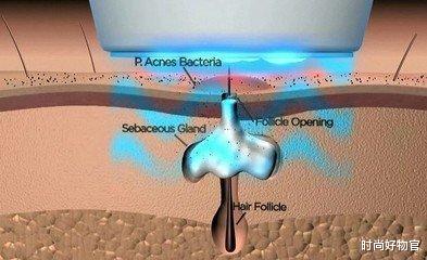 谢霆锋|“还珠三美”保养得当，赵薇、林心如、范冰冰素颜好皮肤令人羡慕