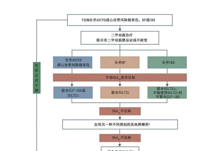 干细胞在糖尿病领域展望：MSCs到iPSCs，再生医学的自我颠覆之路