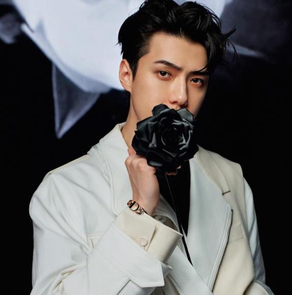 ig|韩国男偶像IG追踪数排名:BTS开通个人IG冲破两千万?第一名是谁