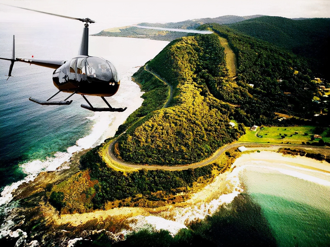 蜈蚣 孤岛“鸟类杀手”！这条蜈蚣在孤岛上默默担当着食物链的最顶端掠食者