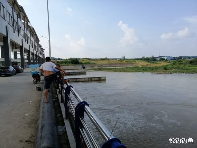 四川省|杂议《关于加强和规范长江流域垂钓管理工作的通知》