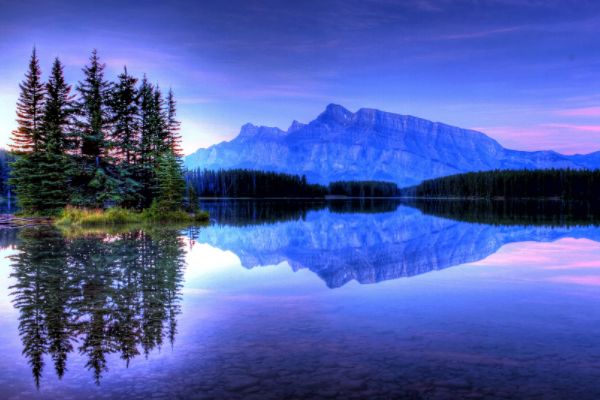 生肖|大器晚成的3个生肖，苦尽甘来，出类拔萃，生活富裕美满