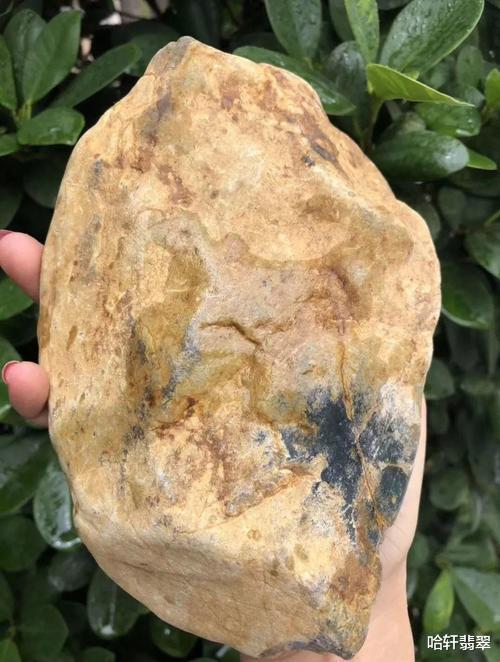 翡翠|【哈轩翡翠】千古之谜的和氏璧到底是什么玉种？