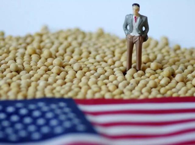 美威脅發起301調查後，中國取消13萬噸美國大豆訂單，理由很直接-圖2