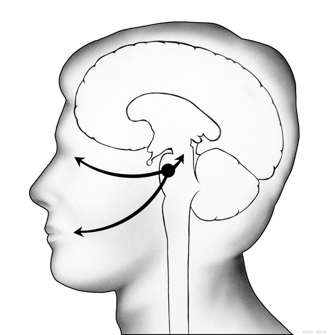 失眠|免疫力是最好的医生，用这6招轻松增强它