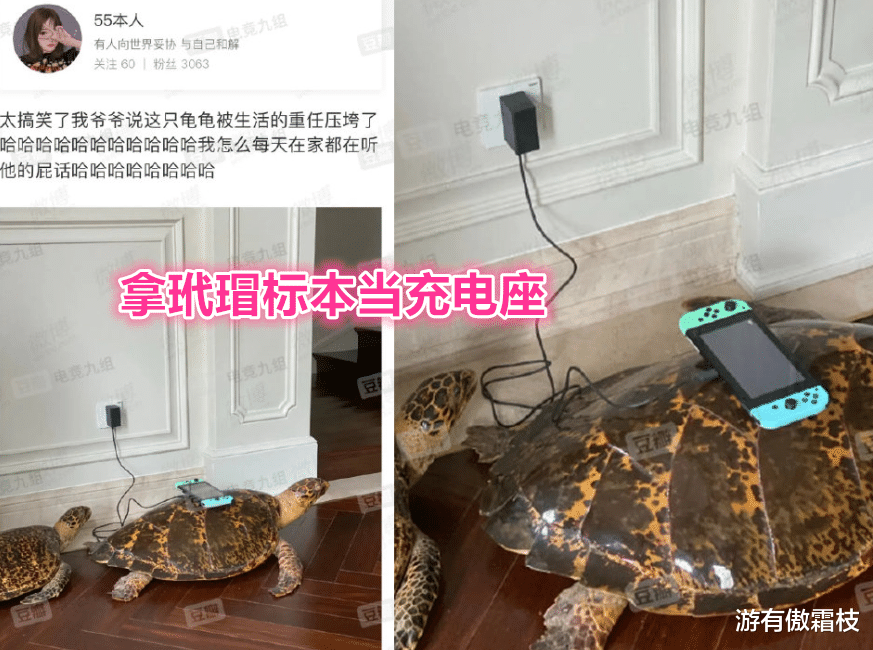 游有傲霜枝 TES阿水女友被举报违法！炫富晒标本翻车，网友直言分手就亏大了