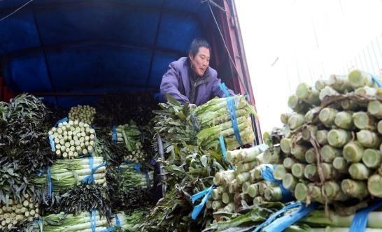 蔬菜|蔬菜放飞式上涨，3种蔬菜却低价卖不动，到底是咋回事？