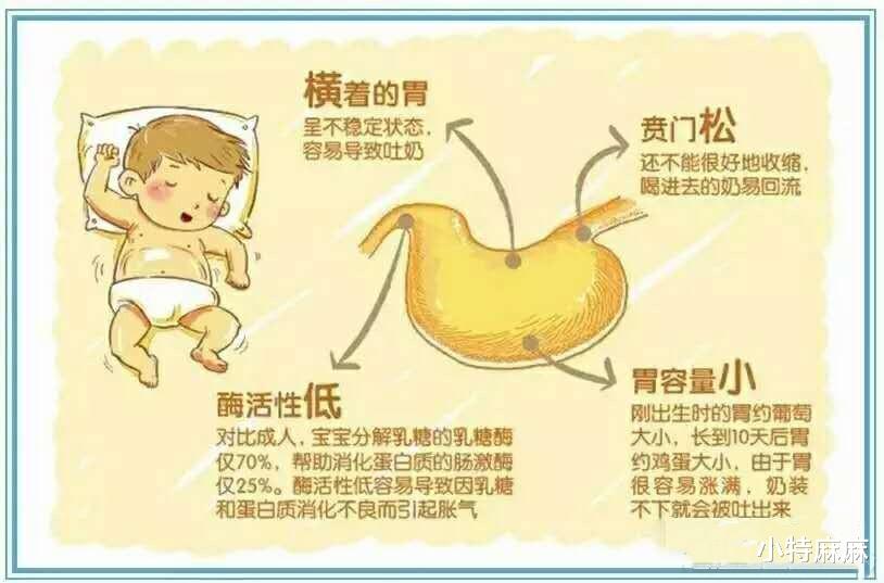 小特麻麻|新生儿护理手册（上），新手爸妈请收藏