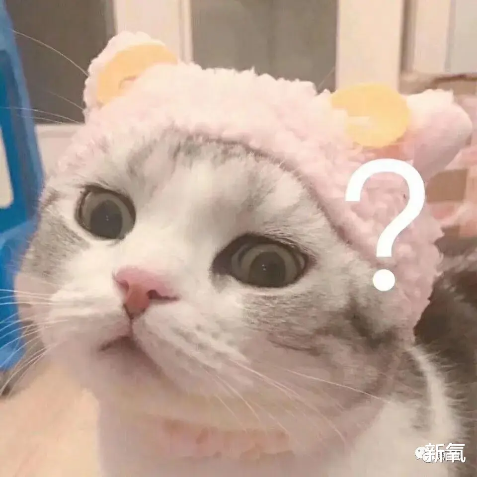 刘璇|堪比杨超越的新晋建模脸，才出道就敢网暴素人？