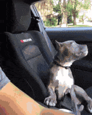 铭洋说育儿|神回复：用叔叔阿姨造句，必须同时得罪两个人，评论区大神够狠！