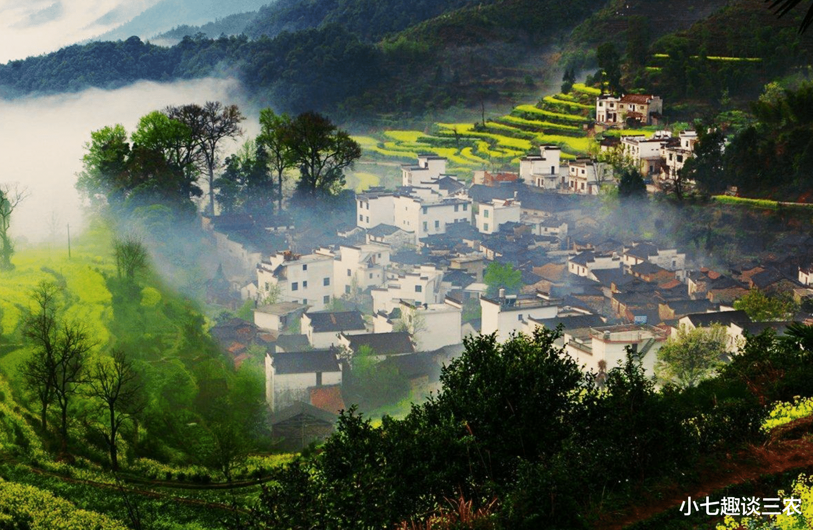 小七趣谈三农 五一假期！农村这4样八成要涨价，农民朋友要勒紧裤腰带了？