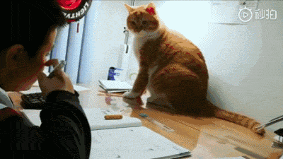 |“如何能一年内赚到120万？”最赚钱的方法都写在法律上了，哈哈哈哈