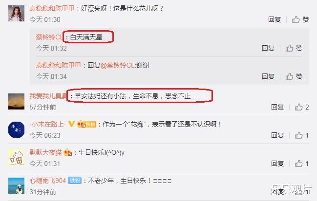 李咏|李咏离世后第三个冥诞:妻子哈文配图显伤感,让人忍不住落泪