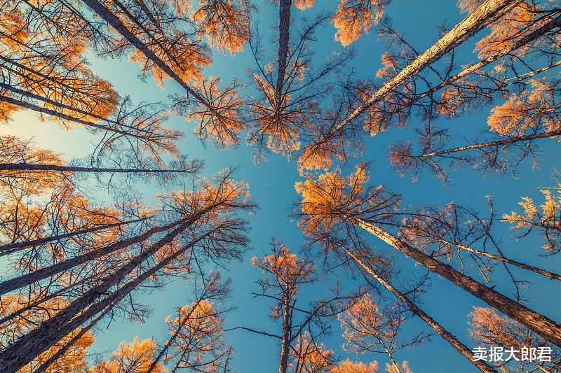 卖报大郎君|中国每天一万人确诊癌症，必看忠告，想长寿，这六件事你秋天一定要注意！