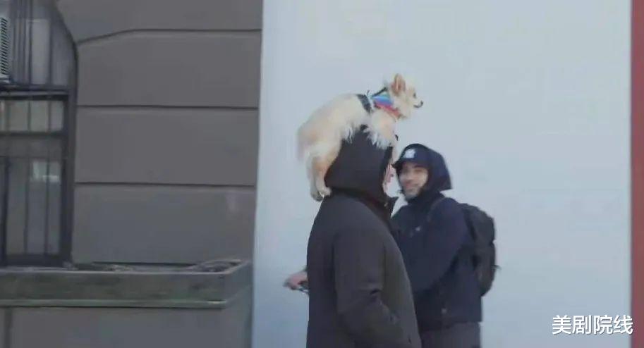 hbo|HBO再出骚操作,废话连篇的“屎尿屁”又封神了