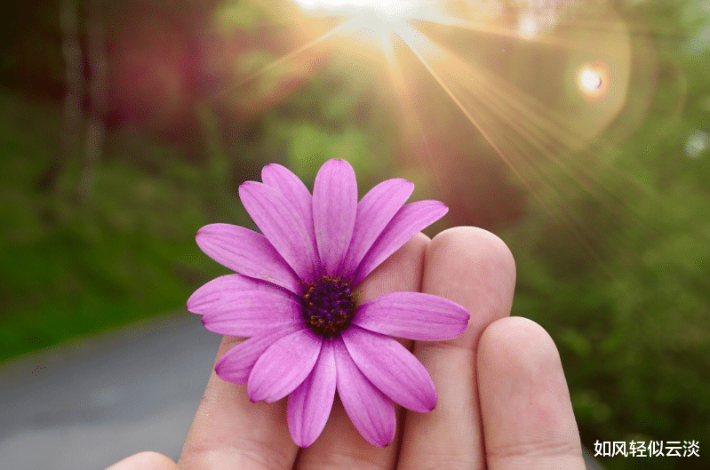 |人在单位，不要小看了别人，也不要高估了自己