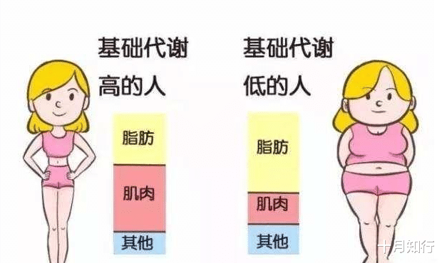 运动 如何减一次不反弹的肥？坚持是关键，适当佛系一些，你会做得更好