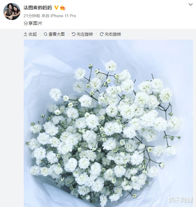 哈文|李咏因癌去世冥诞日，爱妻哈文分享图片超催泪，连续三年未间断