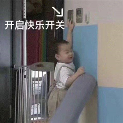 桉月|表情包：在？出来聊聊？