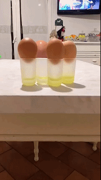  “25岁小伙被40岁阿姨老牛吃嫩草，问题是还很美！”这波赚大了啊