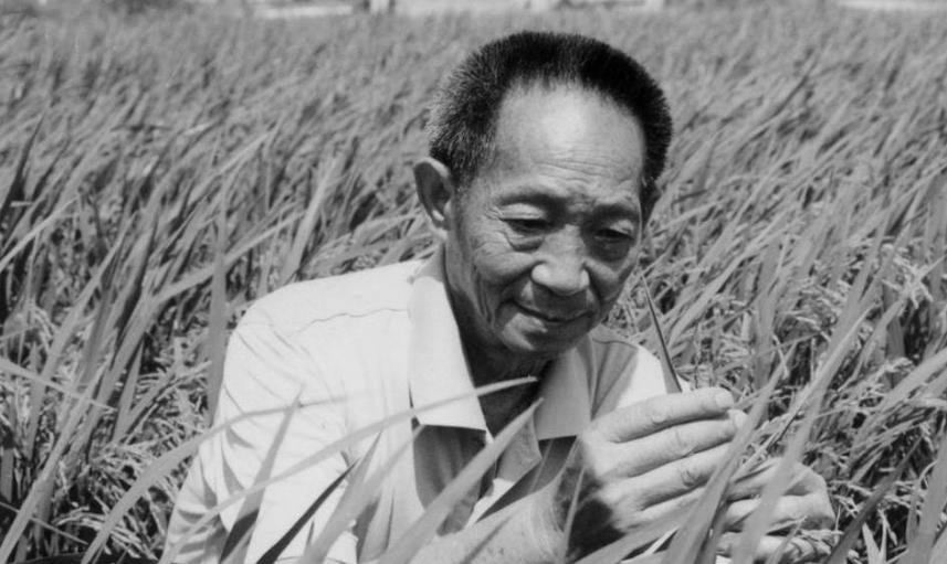 国士无双|袁隆平逝世后,过百位明星悼念,但有多人因发文不走心惨遭群嘲