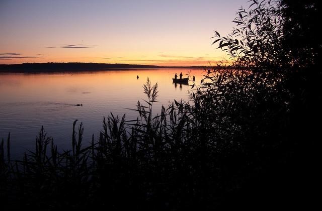 |雨天钓鱼，为何鱼情那么好？这3个原因造成！