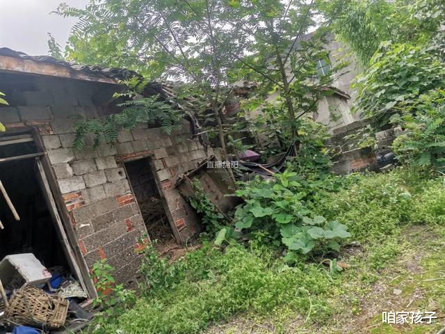 咱家孩子|高考前一天父亲去世,孩子仓促办了最后一位亲人的后事,在痛苦中又奔赴了考场