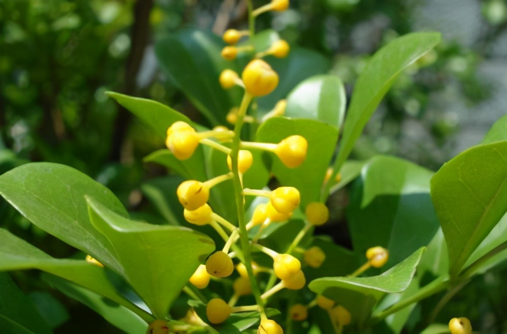 王宝强|越能忍让，越有本事；越有本事，越能忍让