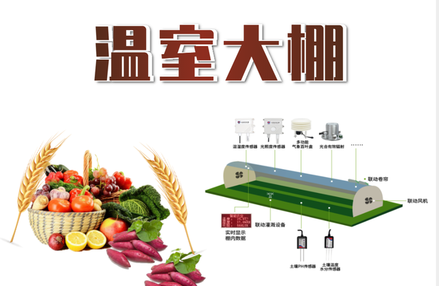 传感器|温室大棚怎从纯人力发展，做到“人工智能”管理？