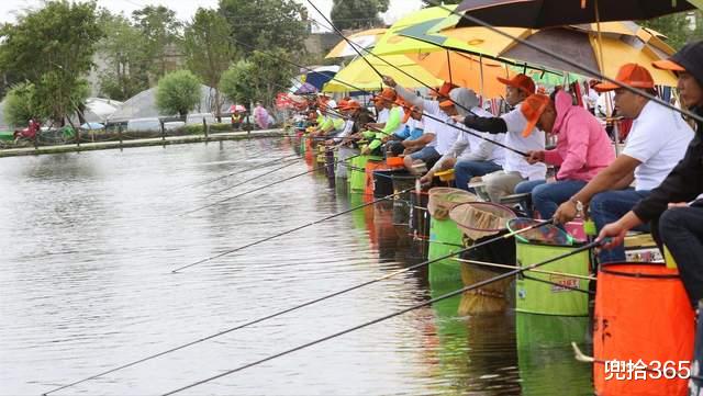 深水区|广东一工地里出现神奇一幕,鱼儿多到泛滥,直接被埋进土里