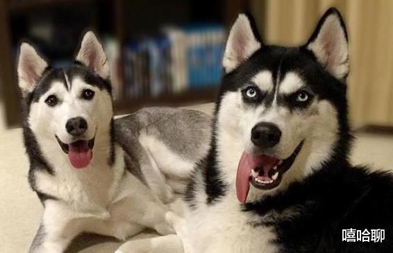 生肖|眼睛一睁一闭，日进斗金的四大生肖，好运连绵不绝！