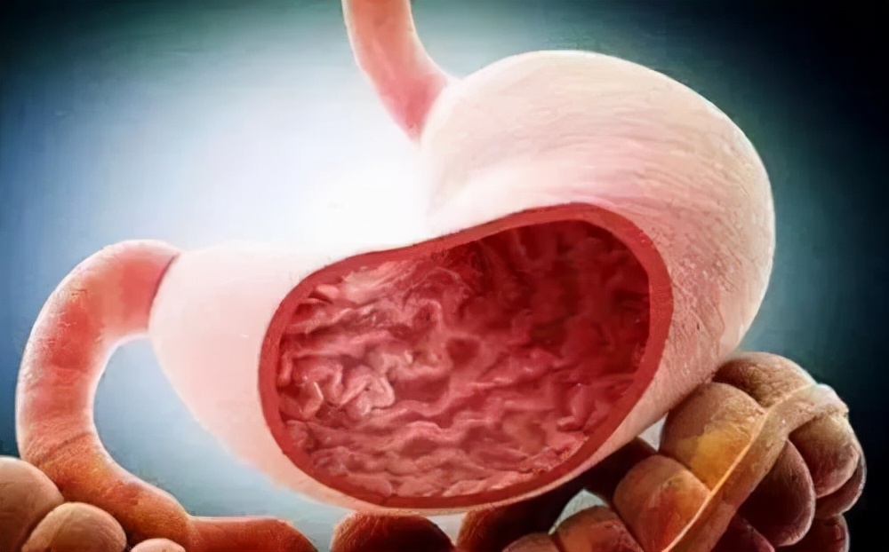 熊猫医学社|胃部“保护伞”已公布，与山药无关，医生：饭后敞开吃，胃或“百病不侵”