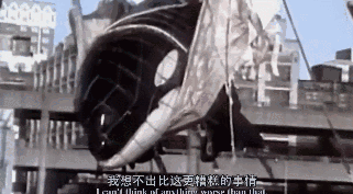 浙江省 被灌药、囚禁、殴打、扒衣... 她直播自杀24小时后，全世界都哭了