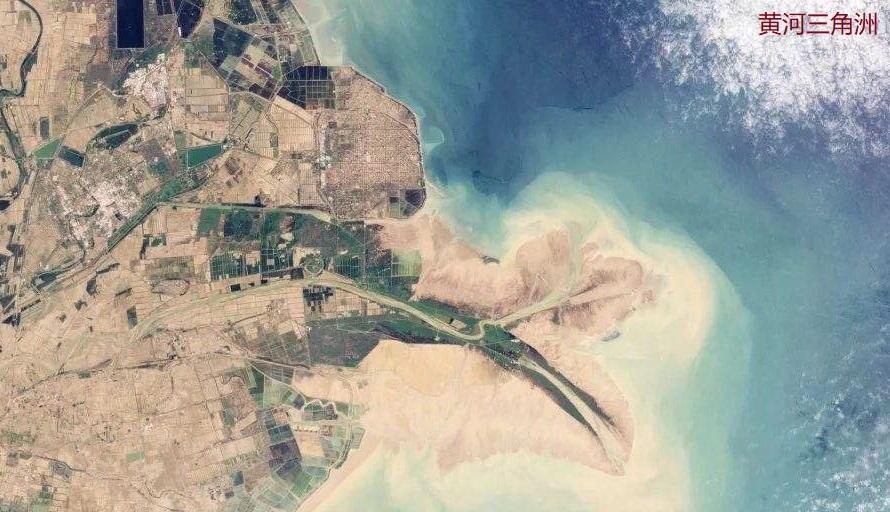 情微说|黄河含沙量世界最大，为何没填平渤海？它填平的海域比渤海大多了