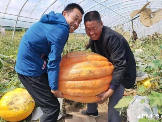 太空 为什么上过太空的种子,结出来的果实都会大一圈?