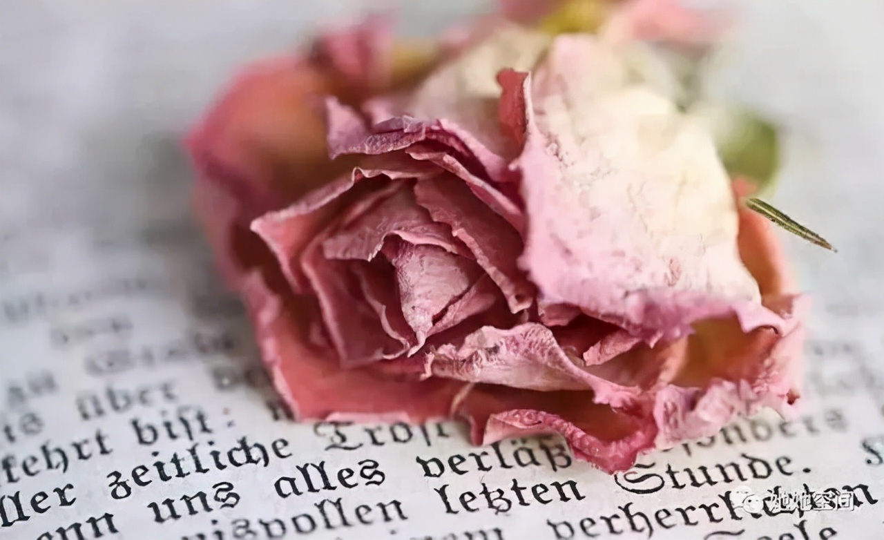 仲念念|男人彻底不爱了，三个痕迹尤为明显，只是你不肯相信罢了