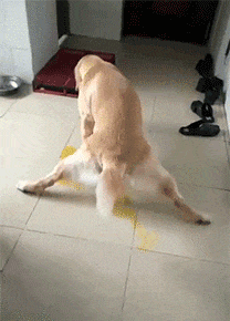 武林外传|“当一个男孩不抽烟喝酒还健身学习，他是为了什么？”哈哈哈真相了