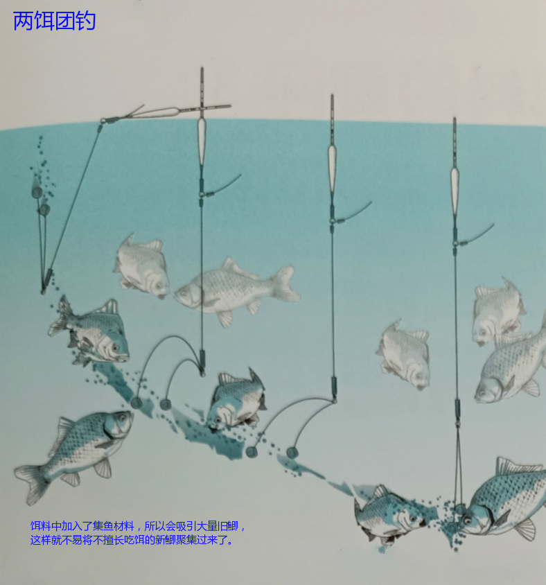 饵料|[ 日本鲫鱼钓 ]新鲫用饵团钓不到吗？关于垂钓新鲫的饵料